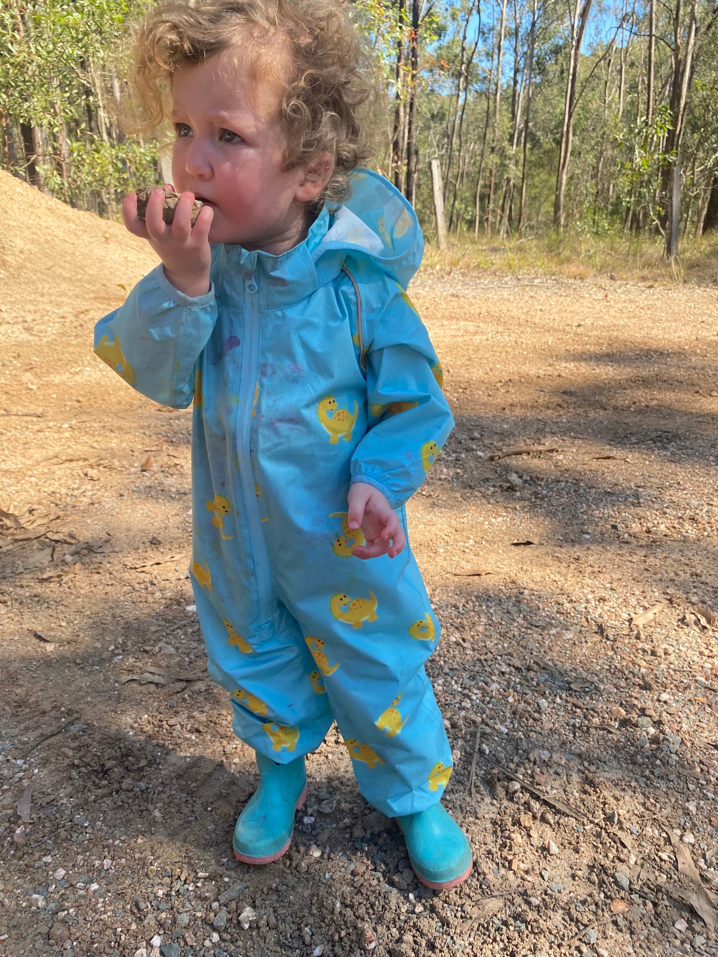 Blue Dinosaur print Puddlesuit Size 1